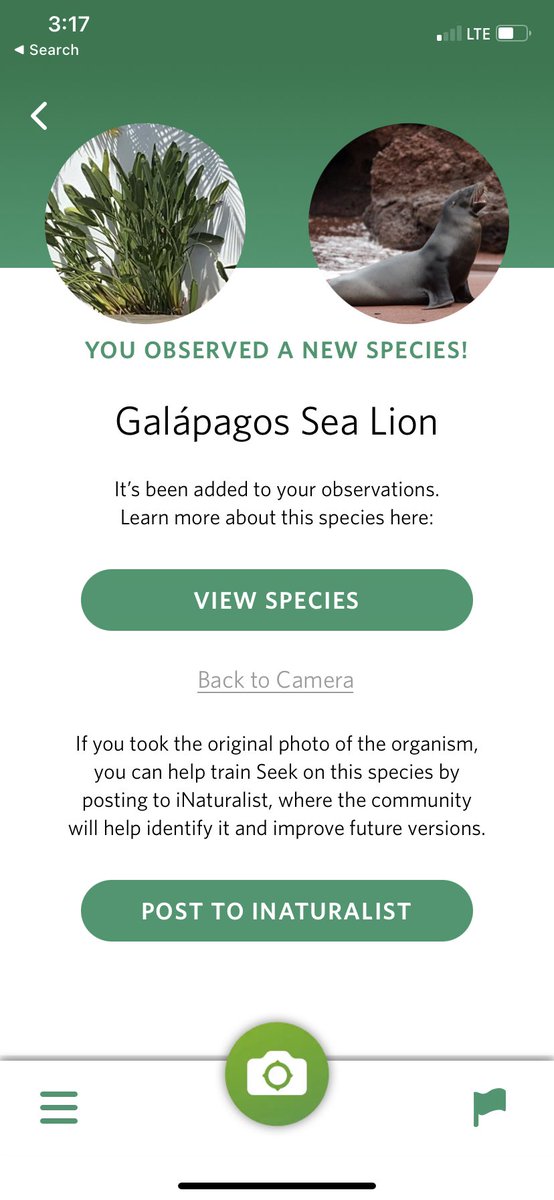 sweetsockmonkey's tweet image. “Use the Seek App, it’s good at identifying nature”