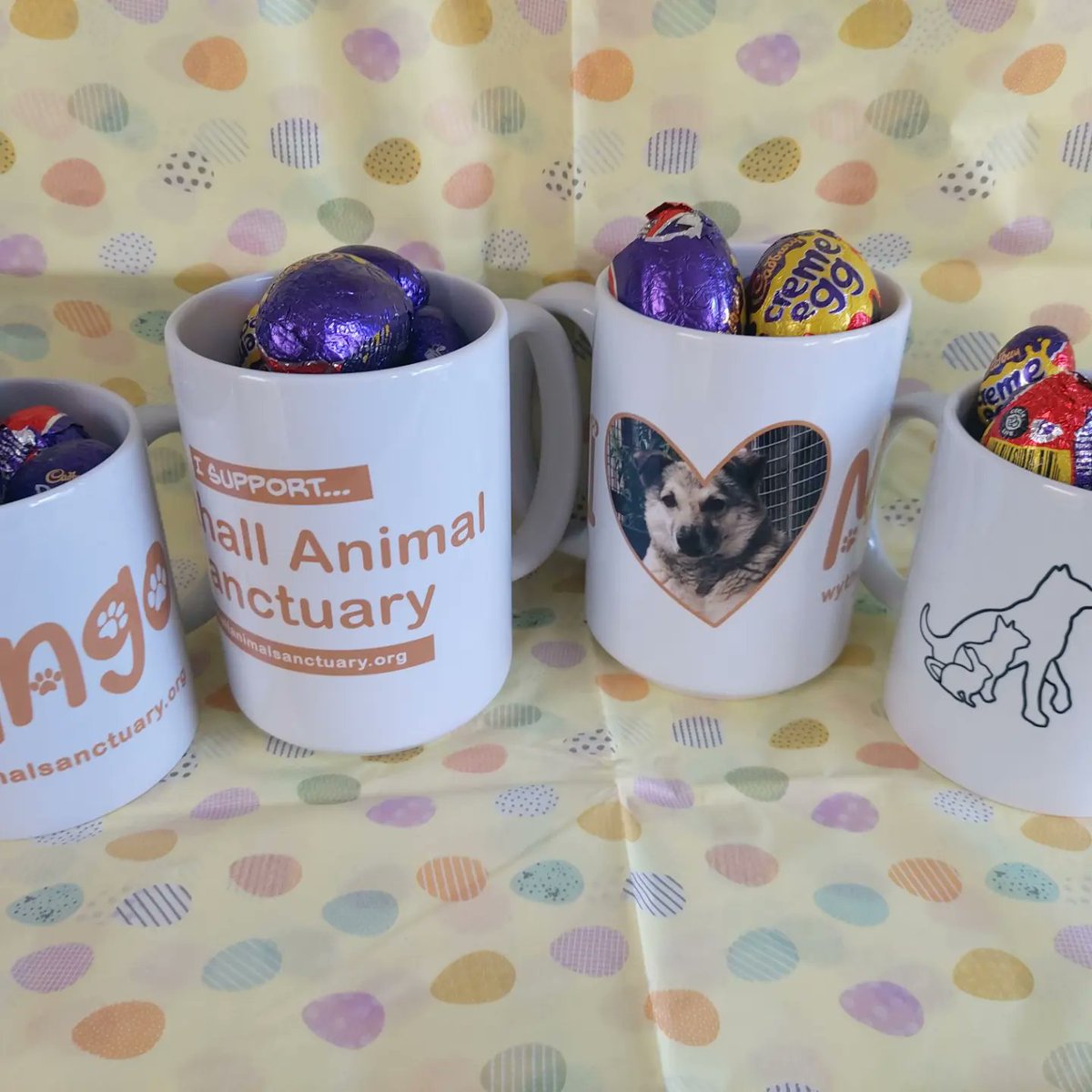 AnimalWythall's tweet photo. We have a BIG Easter raffle going on!
7 prizes available to win!
Sweet treats, family tickets for the easter holidays, sanctuary mugs and biscuits!
£2 a ticket.
Pay via Paypal, our website or over the phone 01564823288
https://t.co/Cmg9bWP0kJ 
accounts@wythallanimalsanctuary.org https://t.co/CYX0nrbgWw