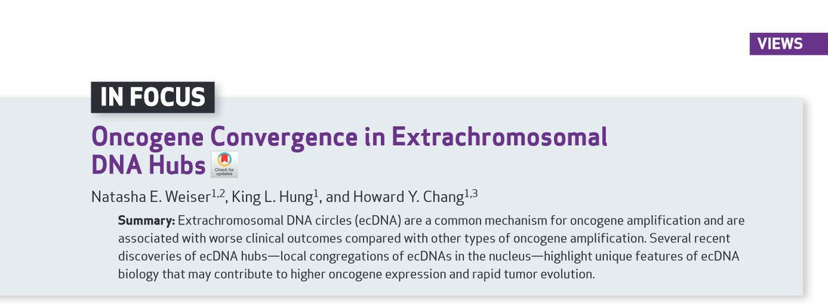 isciverse's tweet photo. Online Now | Cancer Discovery

#Oncogene Convergence in #Extrachromosomal  #DNA Hubs.

@isciverse #PublicationAlert #science #research #AcademicTwitter #SciTwitter #MedTwitter #scicomm #NEWS #NewsBreak #trending #cancers 

https://t.co/bzGEHQrhuL https://t.co/w9nvOHcyiR