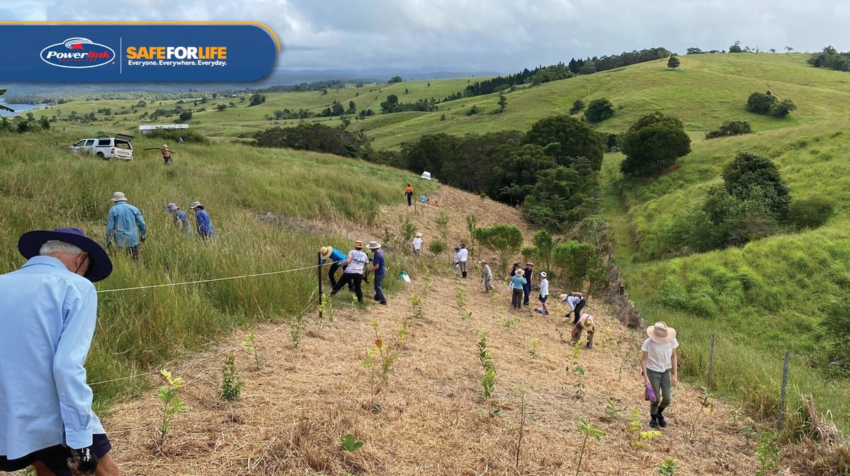 powerlinkqld's tweet photo. We joined dozens of #WetTropics volunteers at a #community planting last weekend. It was great to join the community to plant 1,500 more trees in this very special area. @WetTropicsMA https://t.co/gPeZvTnWFf