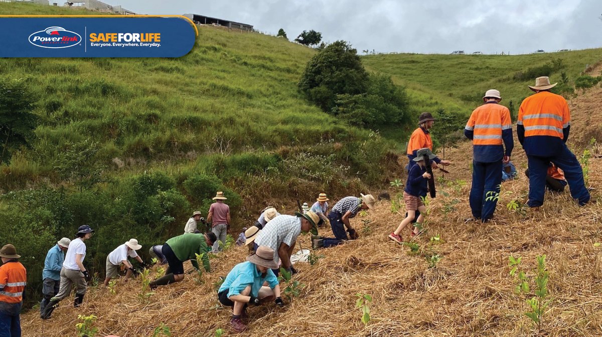 powerlinkqld's tweet photo. We joined dozens of #WetTropics volunteers at a #community planting last weekend. It was great to join the community to plant 1,500 more trees in this very special area. @WetTropicsMA https://t.co/gPeZvTnWFf