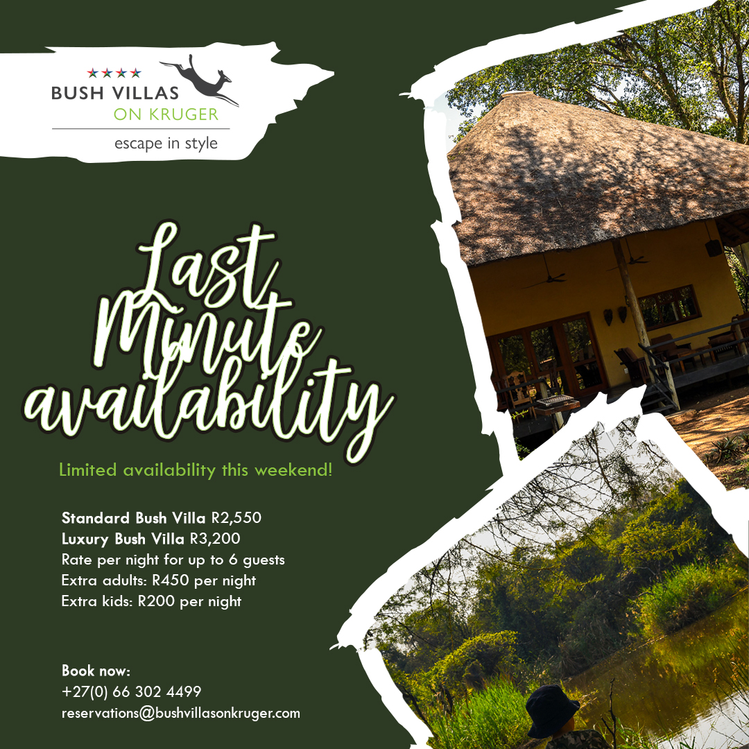Book that last minute Lowveld escape at Bush Villas on Kruger! We have a few Bush Villas available for this long weekend.

Contact reservations@bushvillasonkruger.com or visit bushvillasonkruger.com to book your stay.

#BushVillasOnKruger #traveltuesday #krugernationalpark