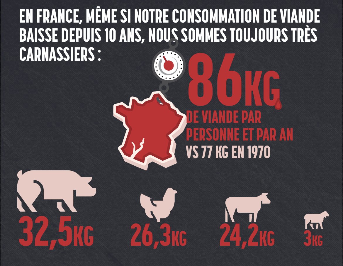 [Le saviez-vous] Ce que l’on mange à une influence considérable sur notre planète, et ce autant que le transport 😱 Il est peut être temps de revoir nos habitudes alimentaires 🌿 Cliquez ici pour tout comprendre en une infographie qqf.fr/infographie/47… via <a href="/qqfait/">Qu'est-ce qu'on fait ?!</a> <a href="/Energic_io/">Challenge Environnemental Energic</a>