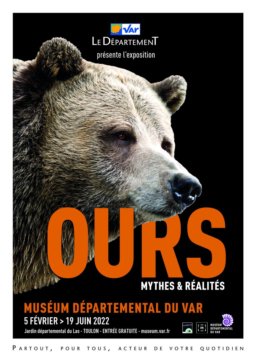 #exposition Pendant l'exposition " Ours, mythes et réalités", le Muséum départemental du Var propose des animations pour les vacances. 
Retrouvez tout le programme sur Var.fr
#departementduvar #museumdepartementalduvar #ours #culture #exposition