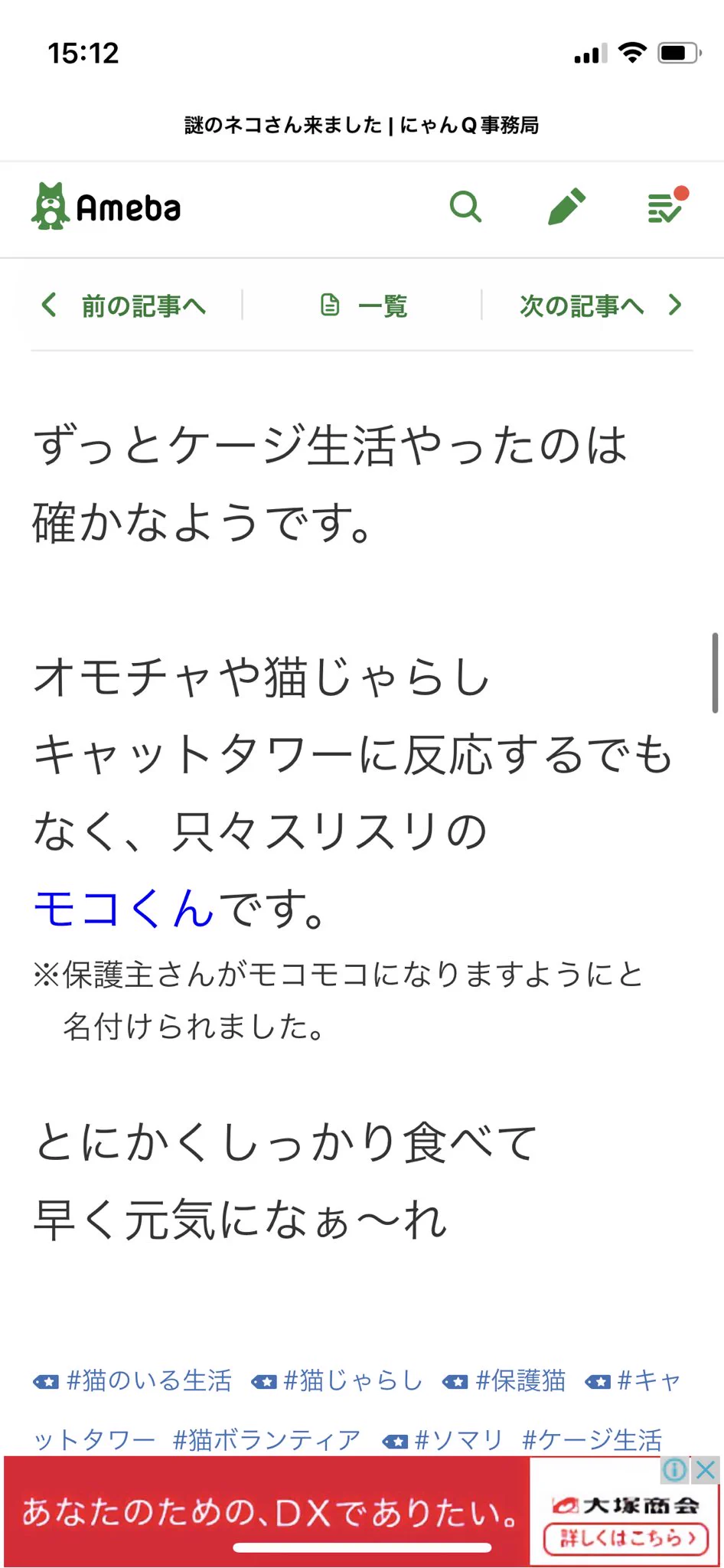 絶対に許せない。里親に出した猫2匹が虐待されたあげく棄てられていた