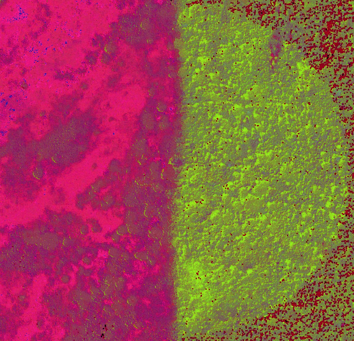 stas_kulesh's tweet image. WIP #googlemapsapi #genart #generativeart #creativecoding