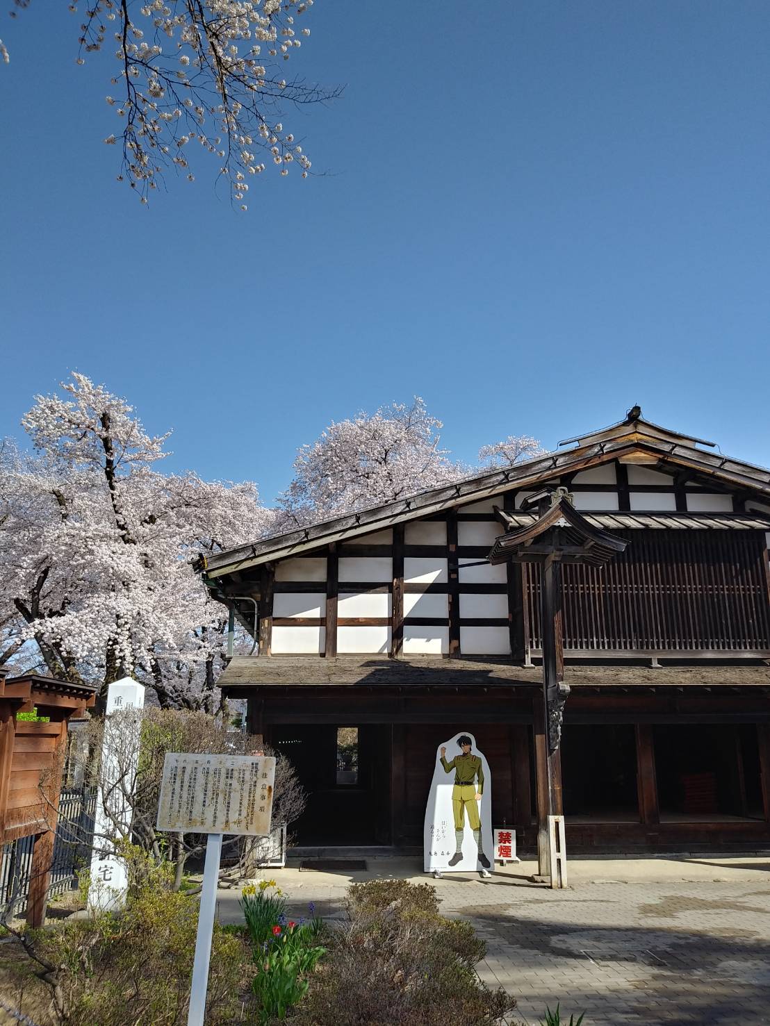 群馬県沼田市 サクラが満開です 文化財保護課 暖かくて一気に沼田公園のサクラが満開となりました サクラ と旧生方家住宅の取り合わせは 今だけの風景となります 沼田公園にお越しの際は 旧生方家住宅もよろしくお願いします 水曜日は休館日です