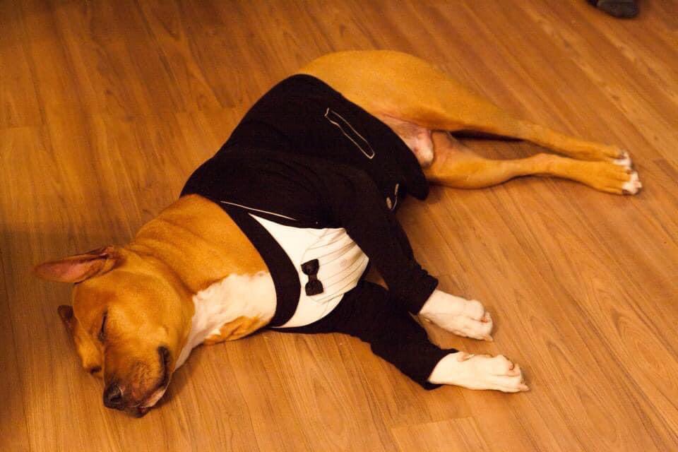 Alberta Impact tweet media