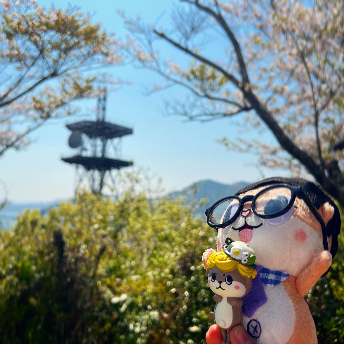 chiijohntravels's tweet photo. I wish I was back in Susaki. Such a beautiful city. And I miss Shinjo-kun!  @susaki_city_PR @LastWeekTonight #Chiijohn #LastWeekTonight https://t.co/D0z430q6fu