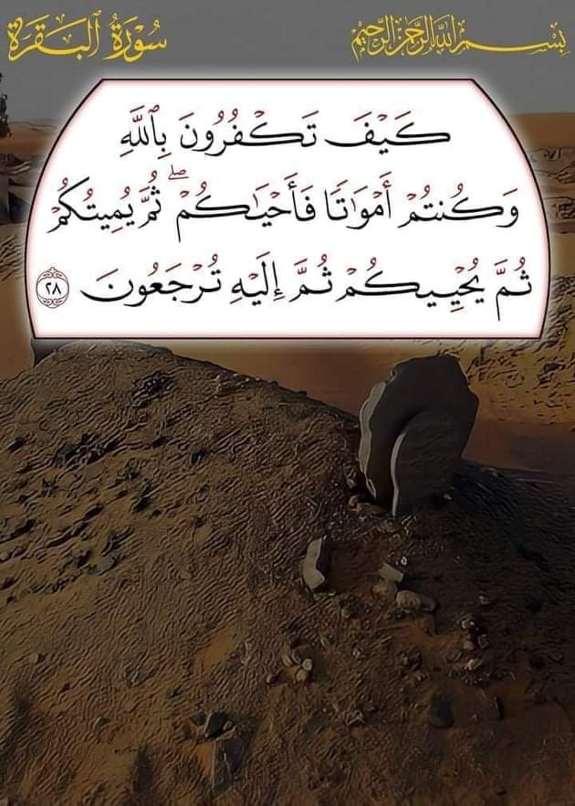 Hussein Adan Hassan (@adan_has2) on Twitter photo 