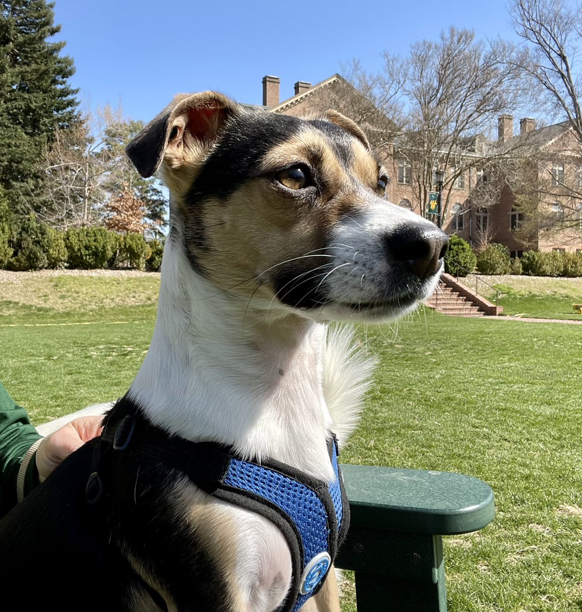 Ricky Ray tweet media