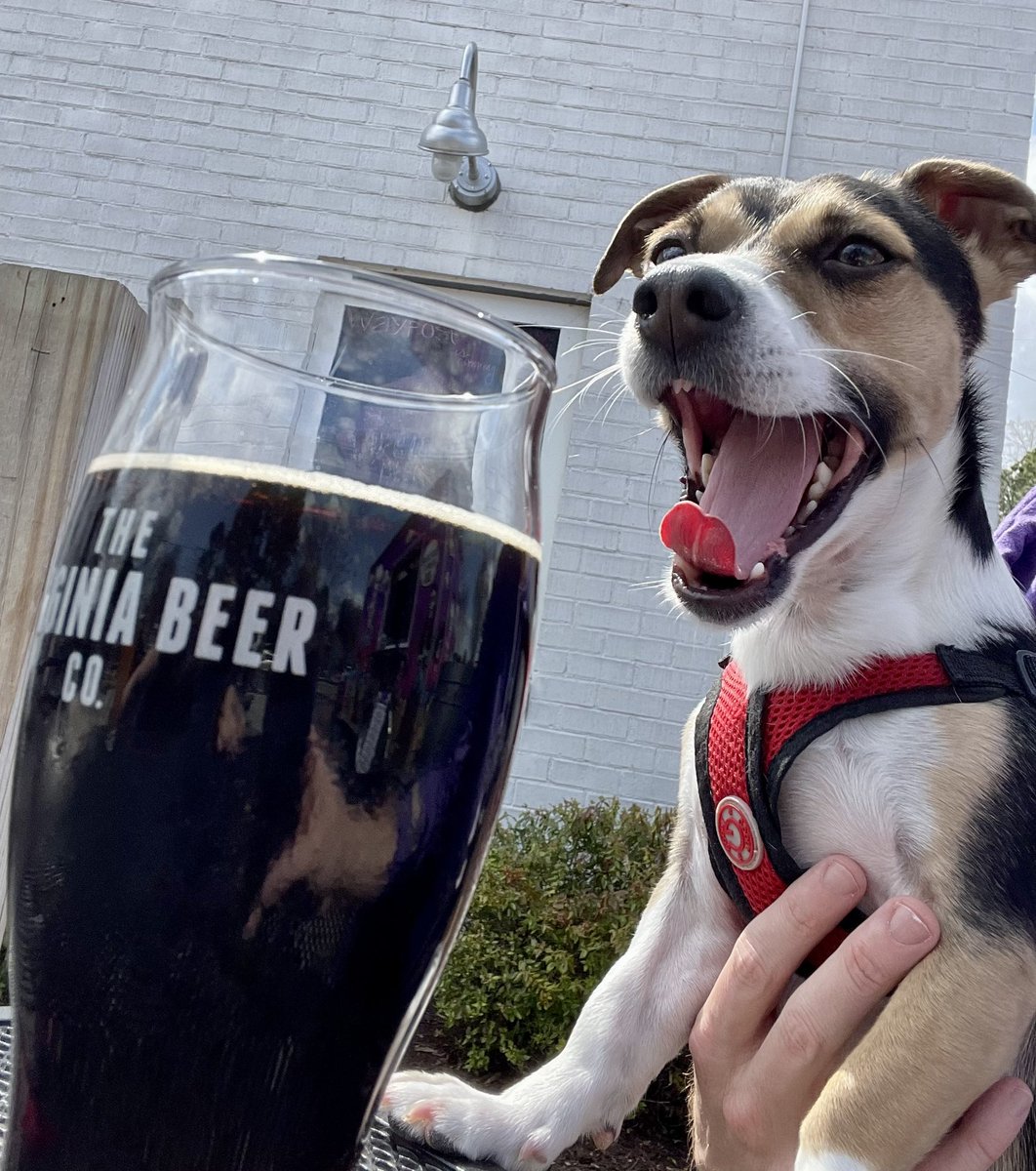 Ricky Ray tweet media