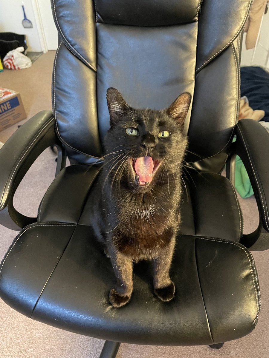 bayo GOOD boy big man tweet media