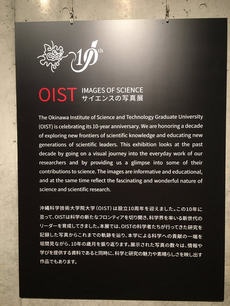 Gustavo Sanchez tweet media