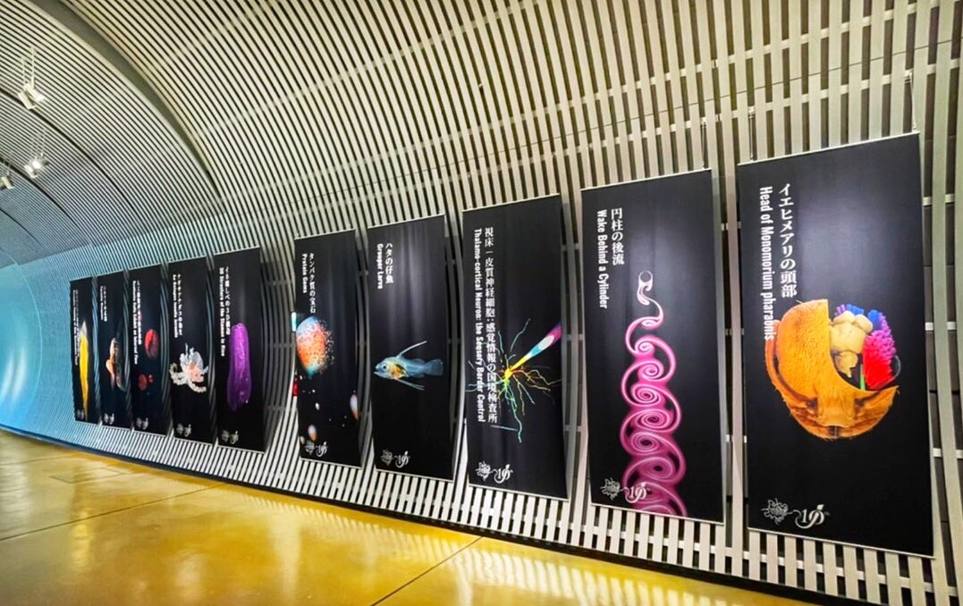 Gustavo Sanchez tweet media