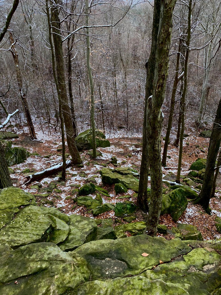 Tommywriting's tweet photo. Greenery 📷📷🌲🍁
Whipps ledges
Hinckley Reservation
#Clevelandmetroparks #rocks #ledges #hiking https://t.co/HzIfxxLegC