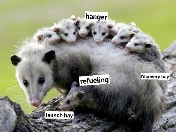 TrashGoat00's tweet photo. https://t.co/a819r89M34