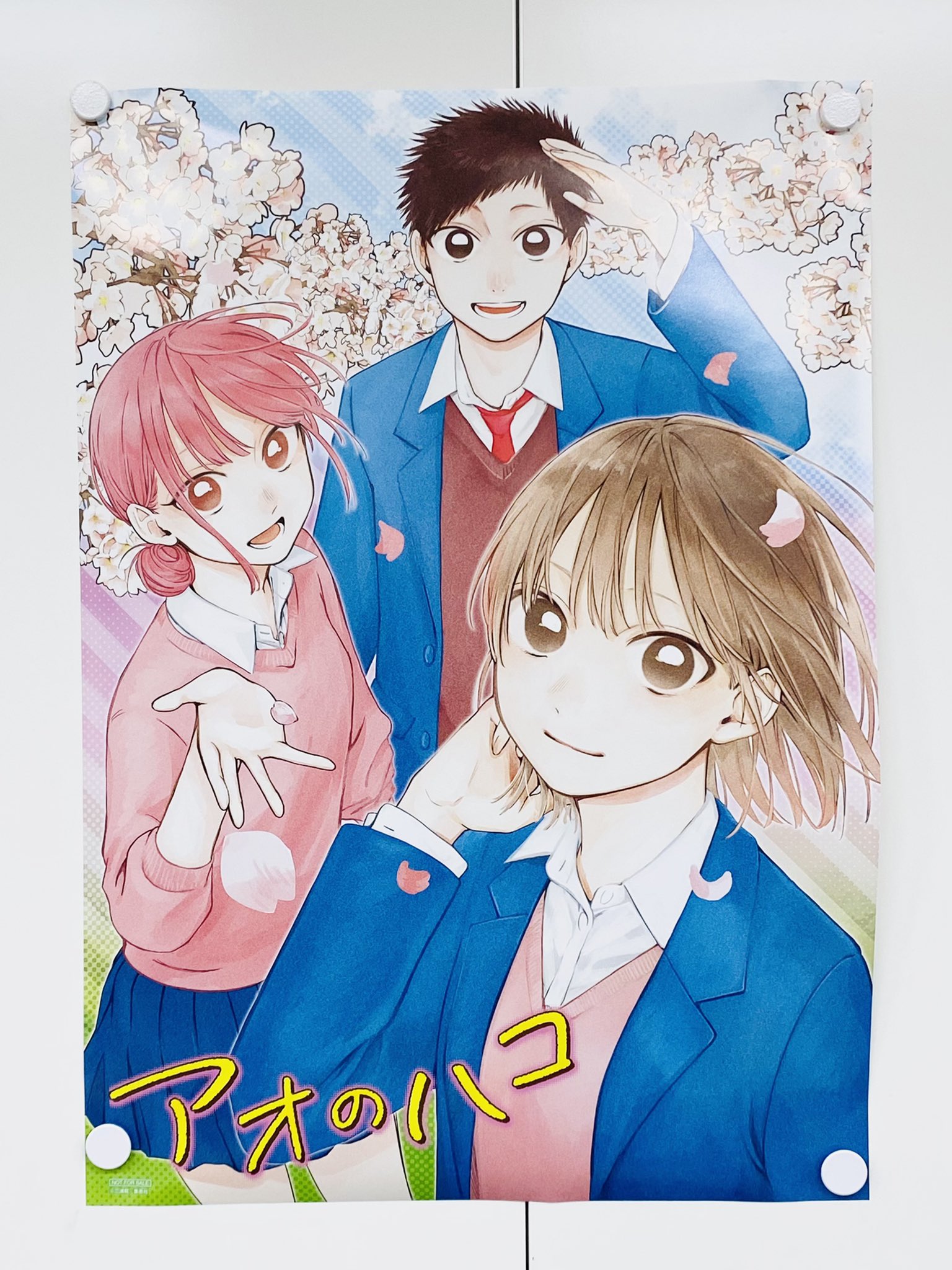 アオのハコ【公式】@TVアニメ第2期制作決定！ on X: 