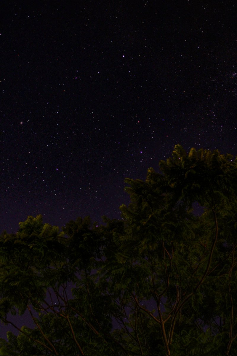 Stardust.