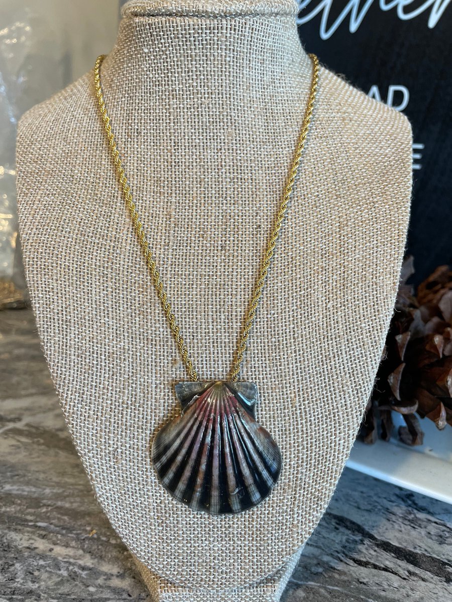 shbook52's tweet photo. Excited to share the latest addition to my #etsy shop: Seashell Necklace,shell pendant,ocean pendant, beach pendant, beach necklace https://t.co/RoveobMyIn #seashellnecklace #beachnecklace #oceannecklace #shellnecklace #seashellpendant #shellpendant #beachpendant #ocea https://t.co/FrqPsL2Dvd