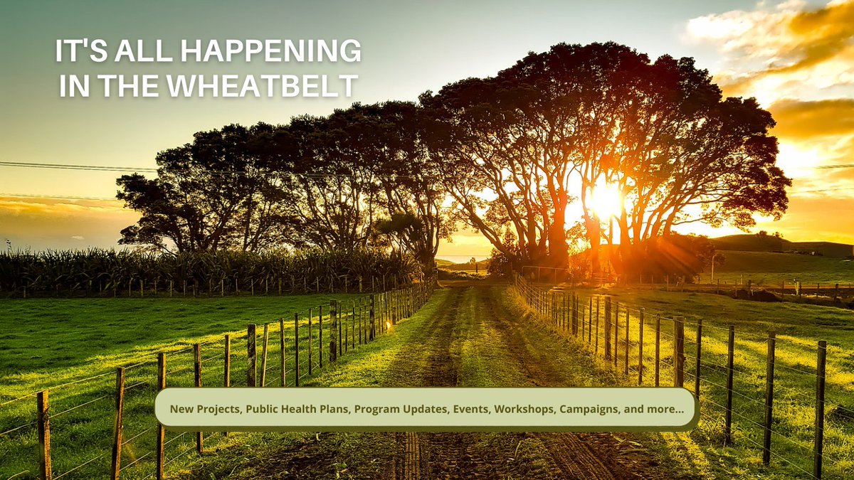 WA's Wheatbelt is buzzing! Catch up with our latest Yirra Koorl wellbeing &amp; prevention newsletter bit.ly/3DNGsHO

Plenty of useful information for professionals, para professionals and the wider community.

#community #news #updates #Wellbeing #Mentalhealth