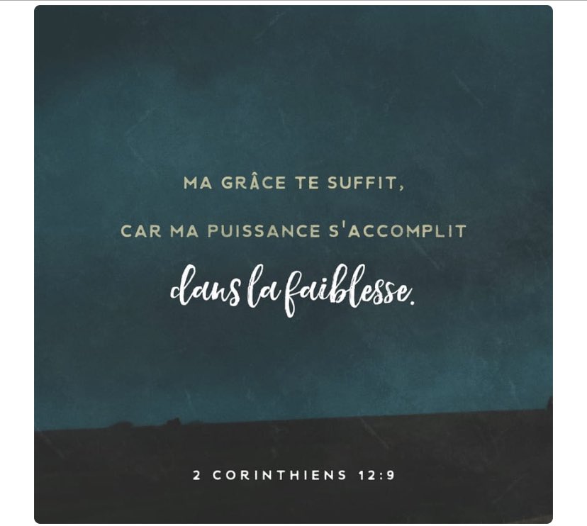 BornReady tweet media