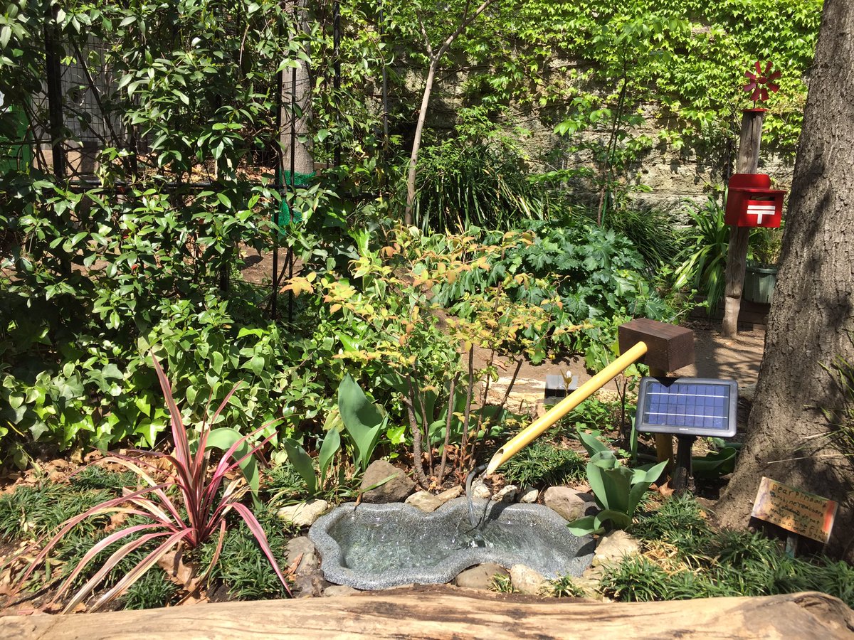 MSTokyoGarden's tweet photo. Spring is here! #WeAreMST #MSTGarden #MSTnature https://t.co/iuZTV78qqu
