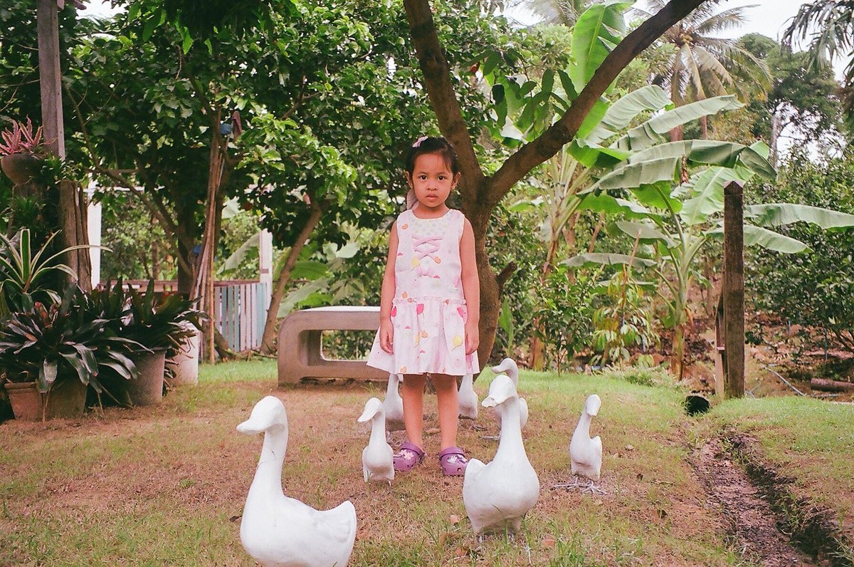 Mymailan's tweet photo. สวนอมรรัตน์
•
•
📷 olympusmjuzoom130
🎞 kodakcolorplus200
#olympusmjuzoom130 #olympus130 #flim #kodakcolorplus200 #kodak #กล้องฟิล์ม #filmphotography #filmcamera #maiwithfilm #cafenonthaburi  #คาเฟ่นนทบุรี  #สายดองฟิล์ม https://t.co/tuo2ae9mdh
