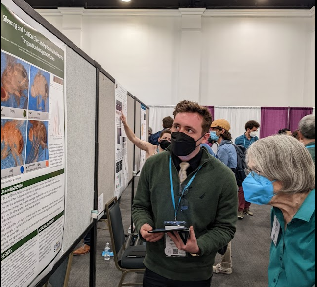 AndyArsham's tweet photo. Heidi Pipkin, Nate Dupre, and Safiyo Aden shared techniques and analysis from our transposition mutagenesis screen investigating heterochromatinization of autosomal euchromatin by repetitive DNA https://t.co/2Ld4uMLBM5