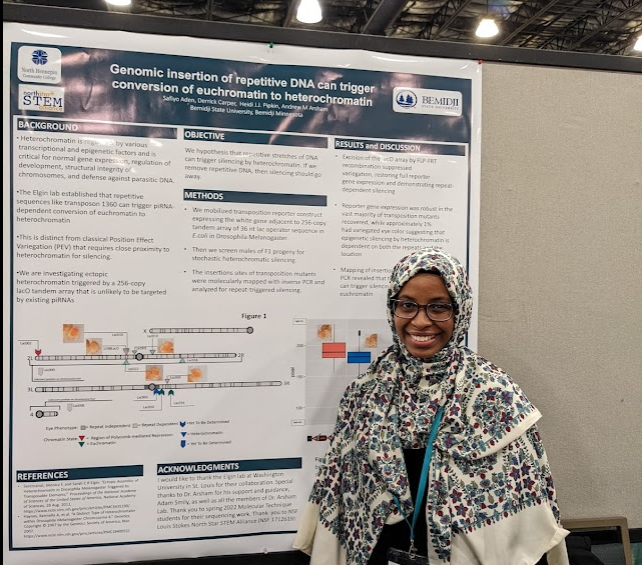AndyArsham's tweet photo. Heidi Pipkin, Nate Dupre, and Safiyo Aden shared techniques and analysis from our transposition mutagenesis screen investigating heterochromatinization of autosomal euchromatin by repetitive DNA https://t.co/2Ld4uMLBM5