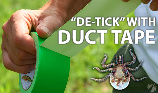 Be TickSmart!

- Spray shoes with tick repellent in tick prone areas (ticks crawl up)!

- De-tick with duct tape as soon as you notice a tick has latched on

- Tuck in your shirt tail when adult ticks are active

- Stay in the middle of trails