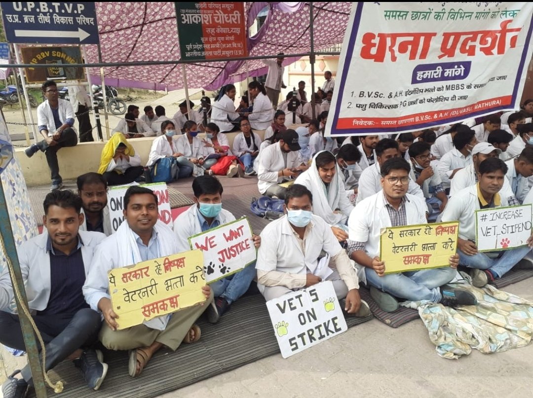 हम शांतिपूर्वक धरना देकर हमारी माँगो को रख रहे है,हमारी माँगो को कोई नही सुन रहा है सिर्फ़ आश्वासन मिल रहे है,जबकि यूनिवर्सिटी प्रशासन द्वारा कार्यवाही करने की लगातार धमकियाँ दी जा रही है,shameful😡😡 
#DUVASU_Mathura 
<a href="/dharampalbjpmla/">Dharampal Singh</a> <a href="/myogiadityanath/">Yogi Adityanath</a> <a href="/PMOIndia/">PMO India</a> <a href="/drsanjeevbalyan/">Dr. Sanjeev Balyan</a>