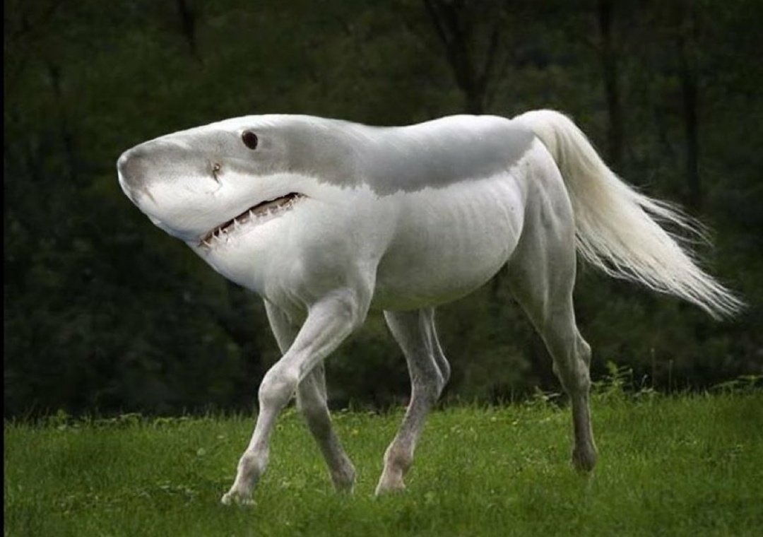 Shubham_Neuro's tweet image. The final published manuscript after incorporating all comments &amp;amp; suggestions from reviewer 1, 2, and 3… 😆😆

@AcademicChatter @PhDVoice @OpenAcademics