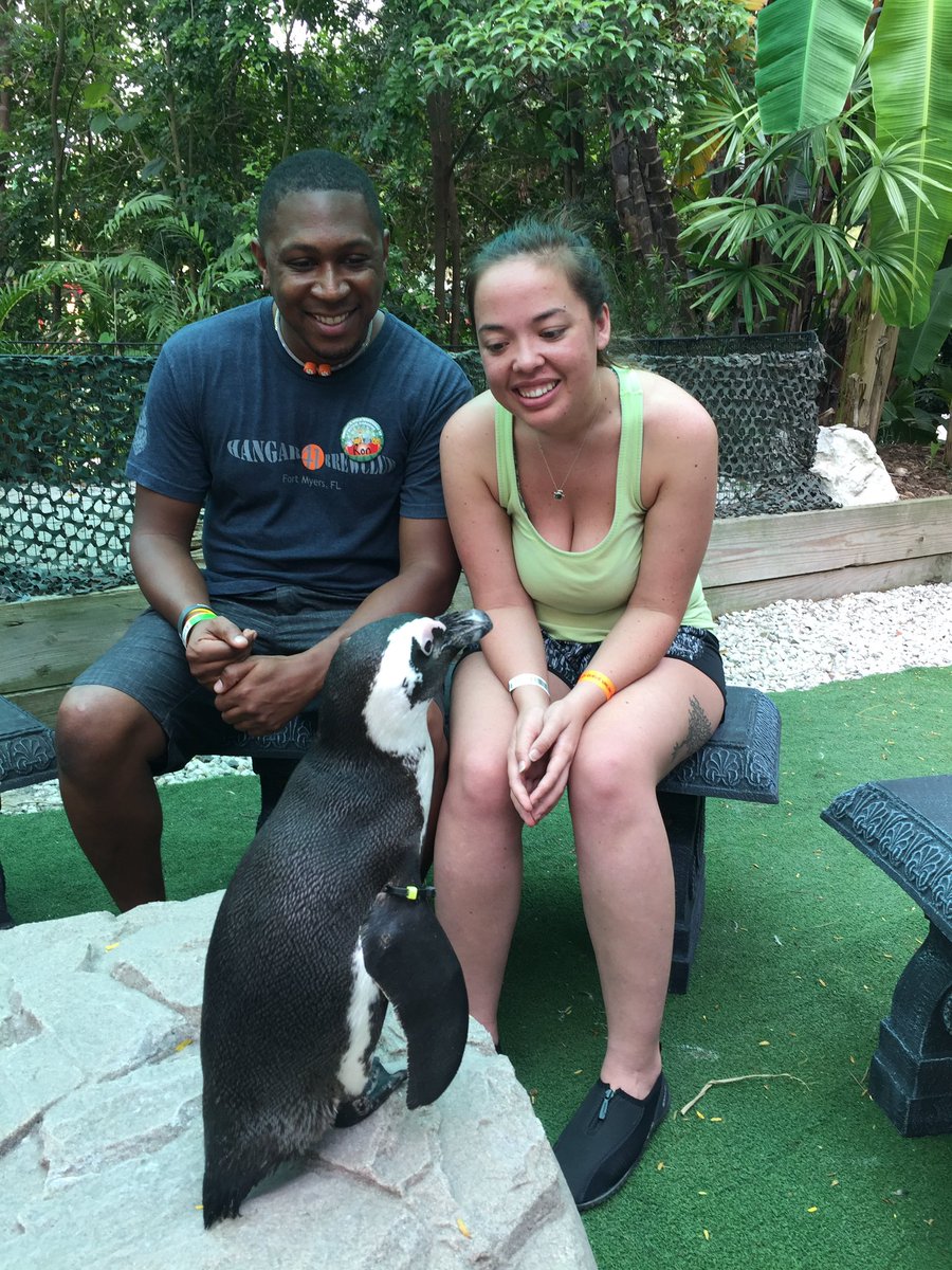 ciarawins's tweet photo. @alaw312 Never underestimate the power of meeting some fucking penguins 💍 https://t.co/2MoMx4oWG7