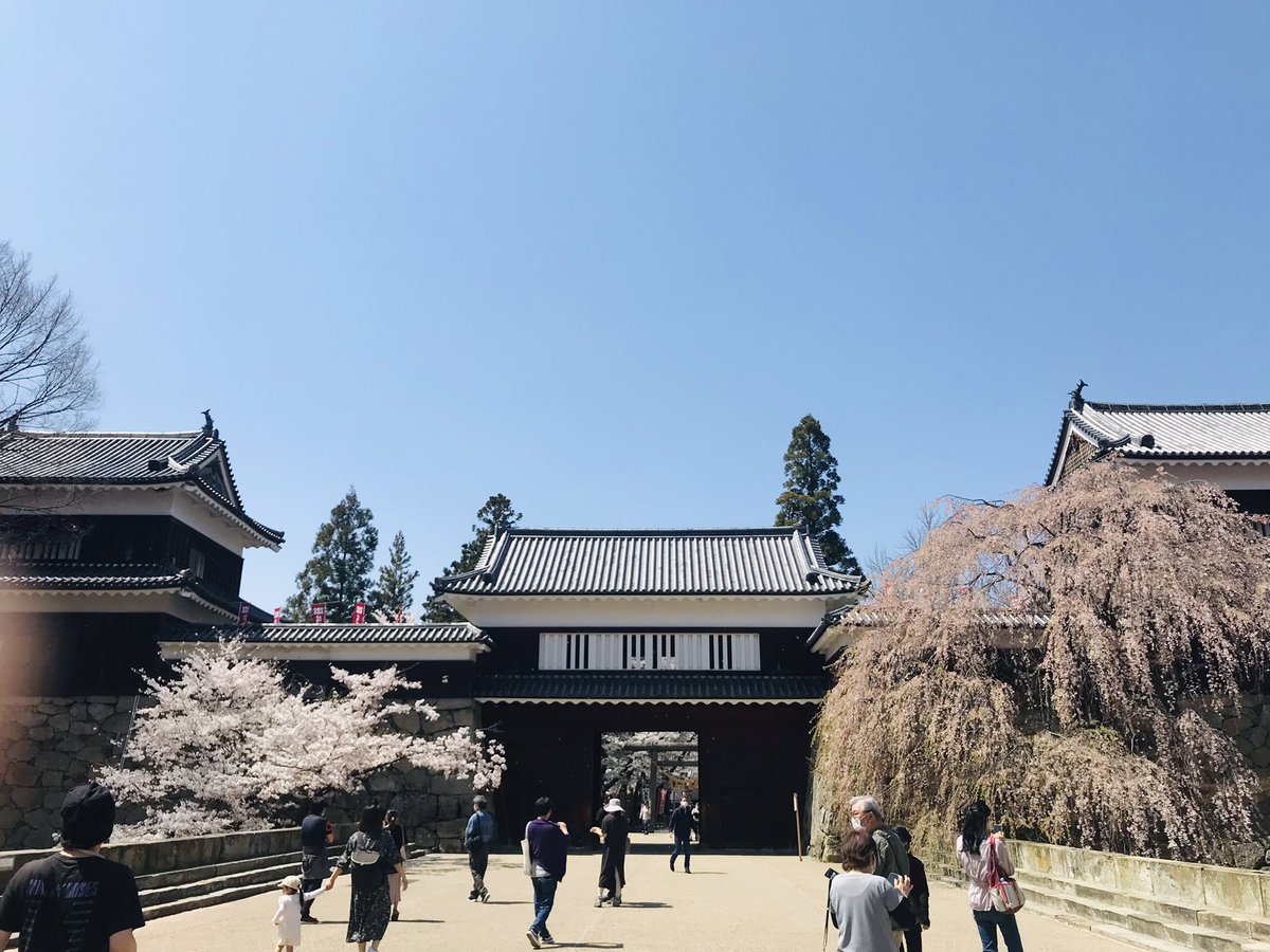 ShinjiIwasaki's tweet photo. 上田城の桜もいい感じ🌸
#桜 #上田城 #cherryblossom #uedacastle #お花見 https://t.co/Yb8OuA9gXT
