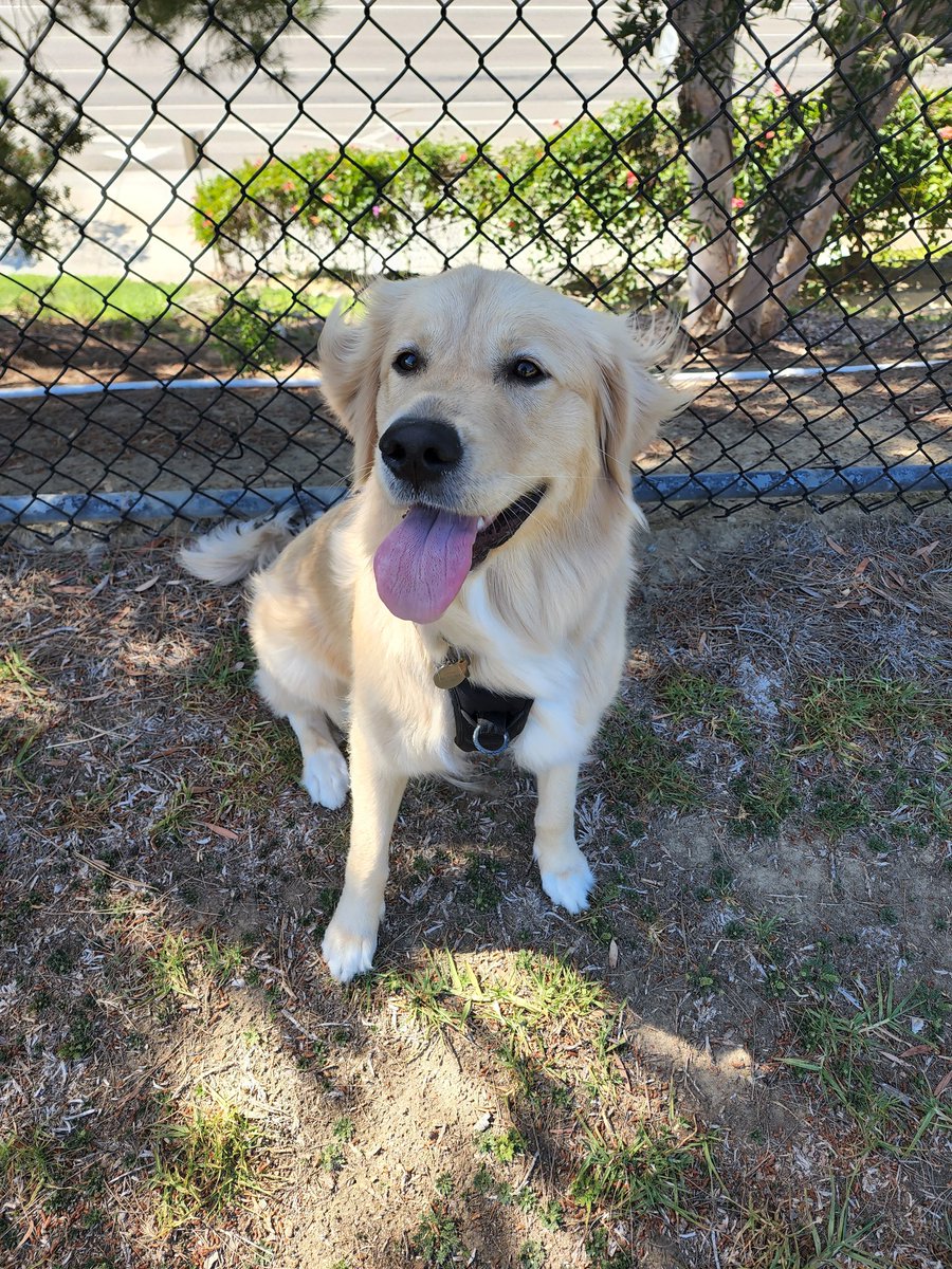 Steve S. Lee, Ph.D. tweet media