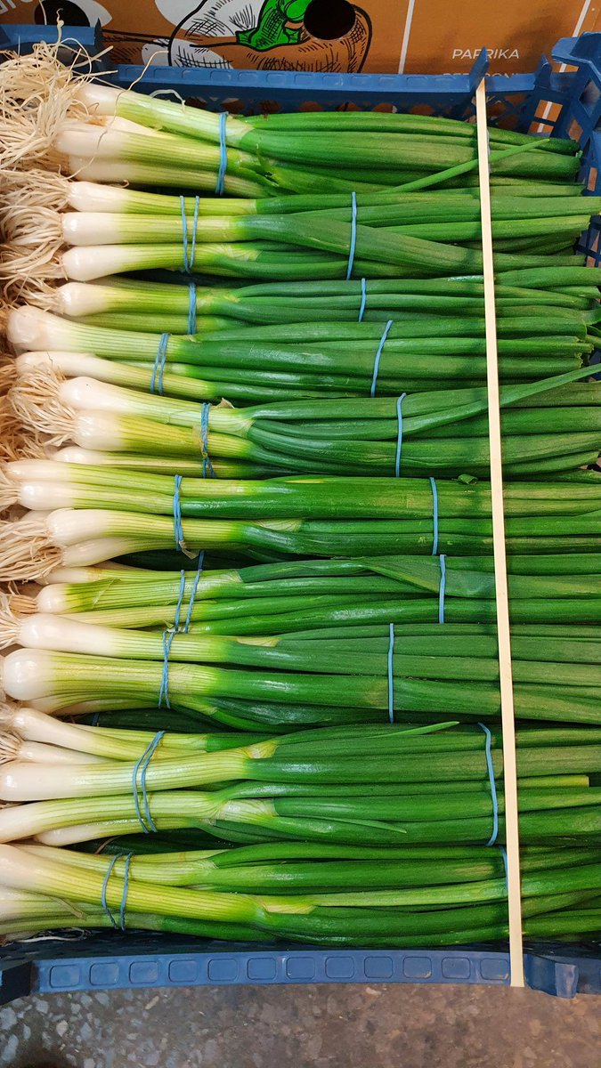 First of the UK Spring Onions available today! 🇬🇧👌🏼
#springonion #britishproduce #salad #bristolmarket #fgb