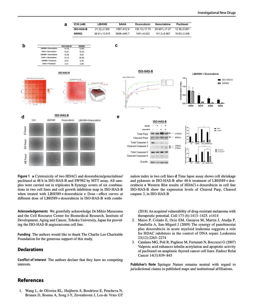 herbloong's tweet photo. Congrats to our #PhD student @JoeyZhangYJ in publishing on #synergism of #HDACinhibitors &amp; #cytotoxics in #sarcomas in #InvestigationalNewDrugs. She is in process of prepping for her #oral #defense in the summer! https://t.co/FSdVbrPUEj @CUHKMedicine #CUHKSarcoma #drugdevelopment https://t.co/ppmGBRQ5c0