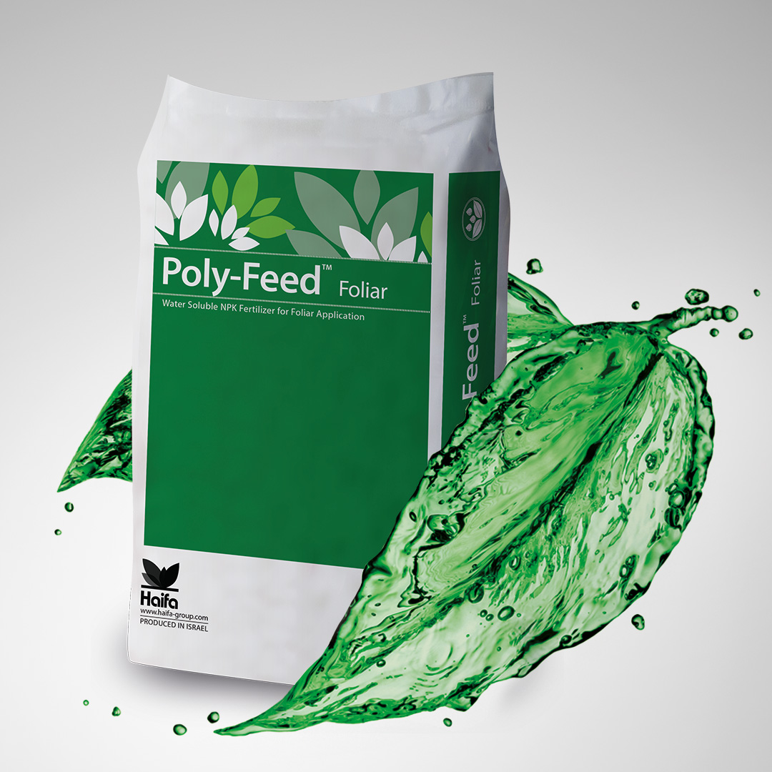 Sometimes small investments can lead to big results. Foliar plant nutrition, for instance.  Only low quantities of foliar-applied plant nutrients are needed to boost growth, cure deficiencies, and encourage yield production. Click here to learn more: bit.ly/3jv76vE