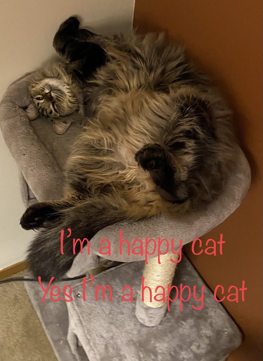 Penny Smith Scott tweet media