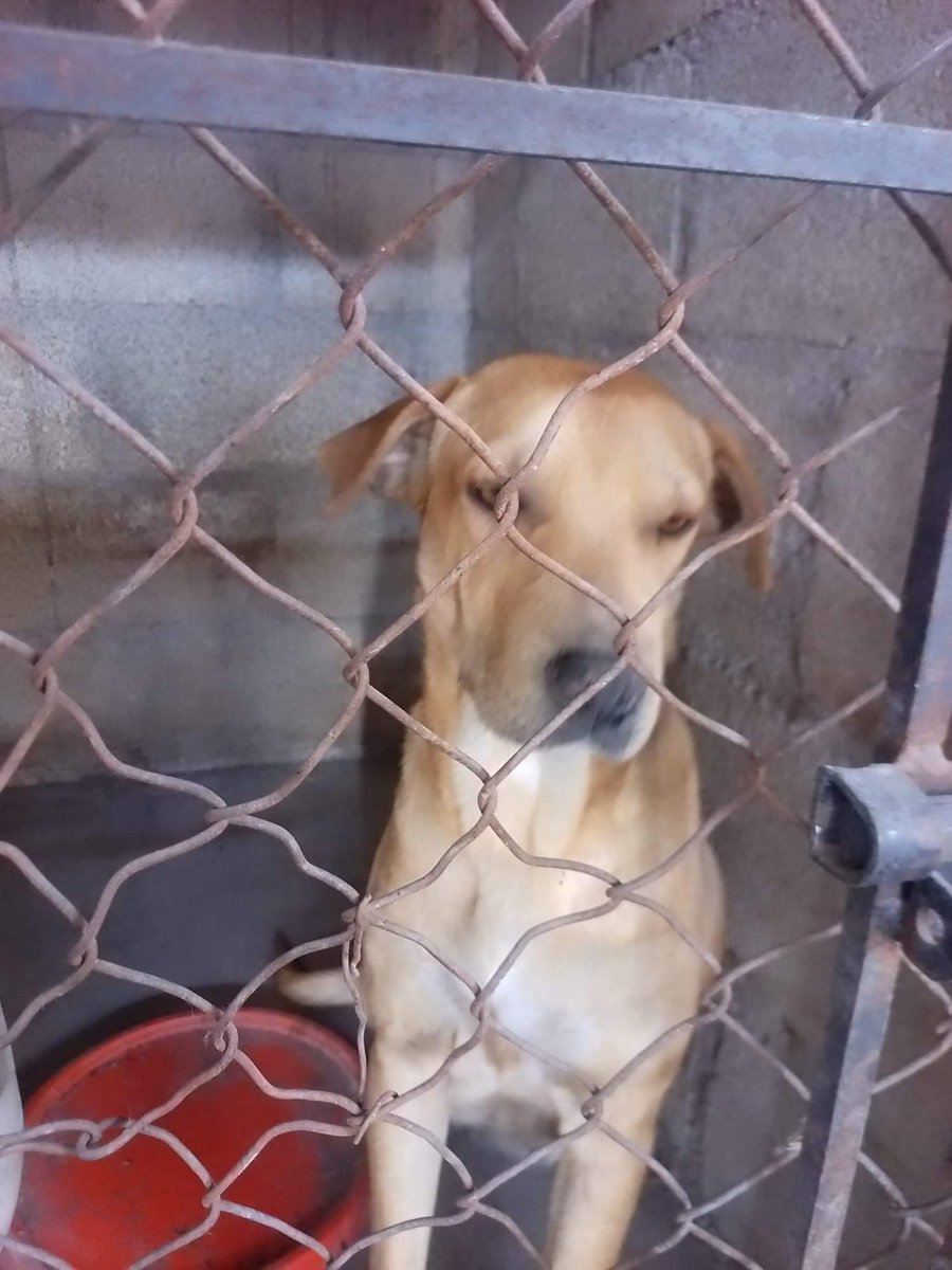 nenabotella tweet media