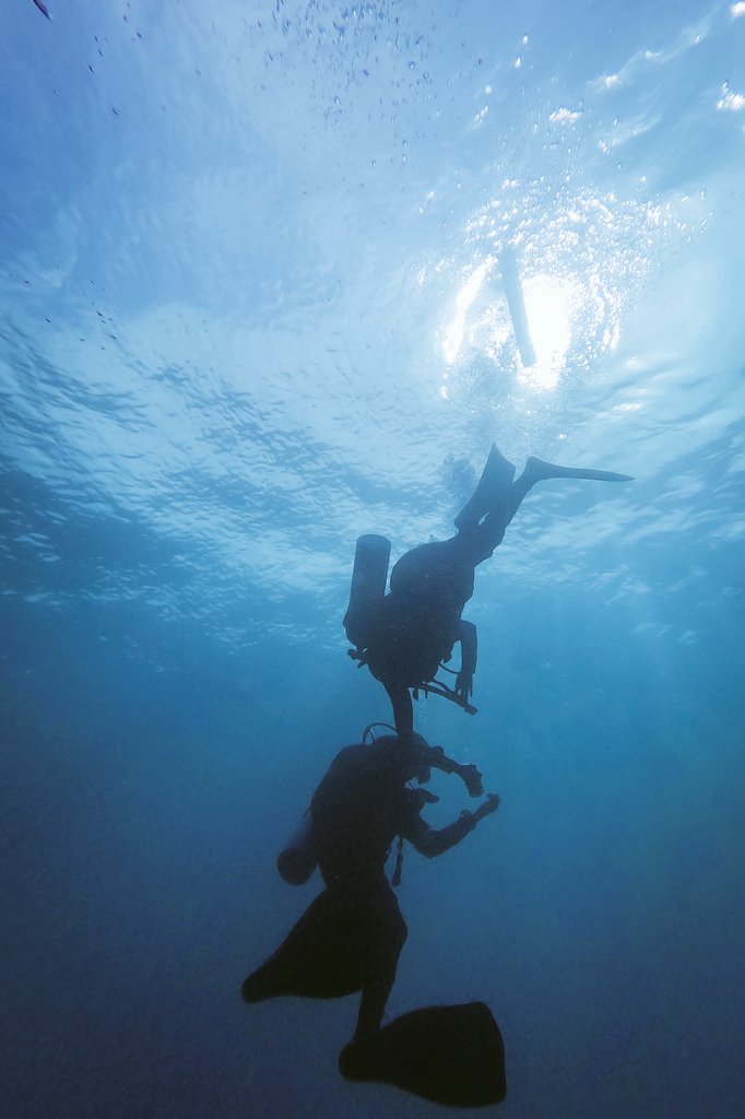 13TheFriday tweet media