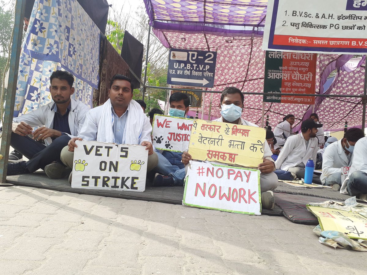 खुद को इतना कमजोर मत होने दो 
कि तुम्हें किसी के एहसान की जरूरत हो।
#UP_Vet_Stipend 
#DUVASU_Mathura 
#SVPUAT_Meerut 
<a href="/dharampalbjpmla/">Dharampal Singh</a> <a href="/pdevendra/">Devendra Pandey</a> <a href="/sudhirk_garg/">Sudhir Garg</a> <a href="/myogiadityanath/">Yogi Adityanath</a> <a href="/PMOIndia/">PMO India</a> <a href="/drsanjeevbalyan/">Dr. Sanjeev Balyan</a> <a href="/MLA_Meghshyam/">Meghshyam Singh (मैं हूँ मोदी जी का परिवार )</a> @dmmathura7512 <a href="/ANINewsUP/">ANI UP/Uttarakhand</a> <a href="/ANINewsUP/">ANI UP/Uttarakhand</a> <a href="/anandibenpatel/">Anandiben Patel</a>