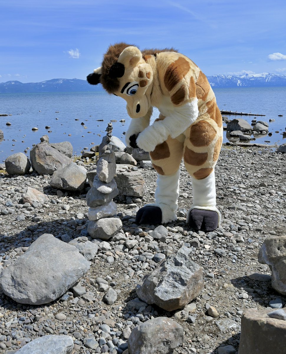 Tahoe Rocks!
📷: @VarekWolf