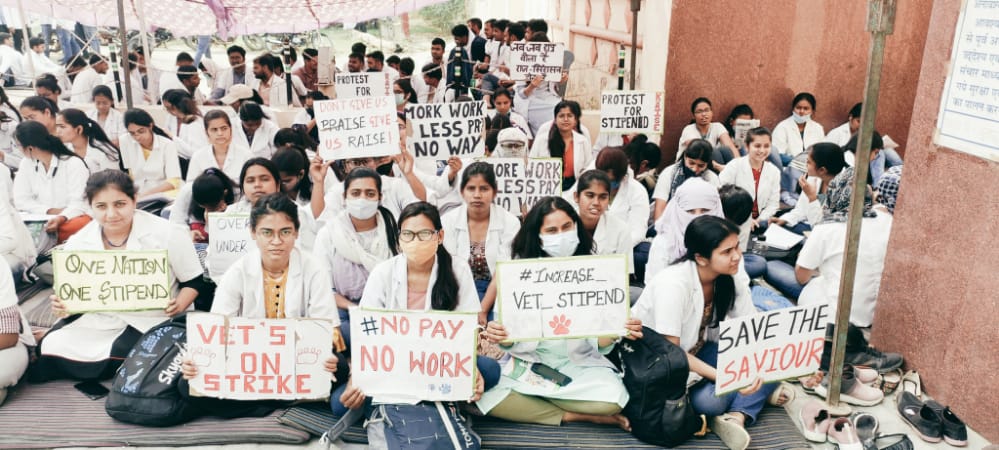 आखिर ऐसा भेदभाव क्यों ?
इंटर्न पशु चिकित्सक भत्ता भी मेडिकल इंटर्न चिकित्सक के समान होना चाहिए।
#UP_Vet_Stipend 
#DUVASU_Mathura 
#SVPUAT_Meerut 
<a href="/dharampalbjpmla/">Dharampal Singh</a> <a href="/pdevendra/">Devendra Pandey</a> <a href="/sudhirk_garg/">Sudhir Garg</a> <a href="/myogiadityanath/">Yogi Adityanath</a> <a href="/PMOIndia/">PMO India</a> <a href="/PRupala/">Parshottam Rupala</a> <a href="/drsanjeevbalyan/">Dr. Sanjeev Balyan</a> <a href="/anandibenpatel/">Anandiben Patel</a> <a href="/ANINewsUP/">ANI UP/Uttarakhand</a> <a href="/News18UP/">News18 Uttar Pradesh</a>