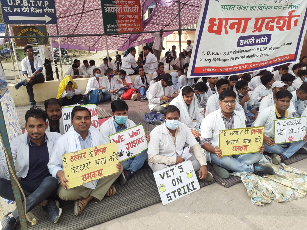 Succees की सबसे खास बात है कि वो मेहनत करने वालो पर फिदा हो जाती है।
#UP_Vet_Stipend 
#DUVASU_Mathura 
#SVPUAT_Meerut 
<a href="/dharampalbjpmla/">Dharampal Singh</a> <a href="/pdevendra/">Devendra Pandey</a> <a href="/sudhirk_garg/">Sudhir Garg</a> <a href="/myogiadityanath/">Yogi Adityanath</a> <a href="/PMOIndia/">PMO India</a> <a href="/anandibenpatel/">Anandiben Patel</a> <a href="/drsanjeevbalyan/">Dr. Sanjeev Balyan</a> <a href="/MLA_Meghshyam/">Meghshyam Singh (मैं हूँ मोदी जी का परिवार )</a> @dmmathura7512 <a href="/ANINewsUP/">ANI UP/Uttarakhand</a> <a href="/News18UP/">News18 Uttar Pradesh</a>