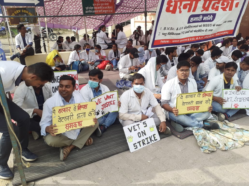 हमारा एक ही नारा stipend medical समकक्ष हो हमारा।।
अगर ये माँगे हमारी पूरी नहीं होंगी तो ये हड़ताल ओर भी उग्र होगी।
#UP_Vet_Stipend 
#DUVASU_Mathura 
#SVPUAT_Meerut 
<a href="/dharampalbjpmla/">Dharampal Singh</a> <a href="/pdevendra/">Devendra Pandey</a> <a href="/sudhirk_garg/">Sudhir Garg</a> <a href="/myogiadityanath/">Yogi Adityanath</a> <a href="/PRupala/">Parshottam Rupala</a>  <a href="/News18UP/">News18 Uttar Pradesh</a> <a href="/ANINewsUP/">ANI UP/Uttarakhand</a> <a href="/anandibenpatel/">Anandiben Patel</a>