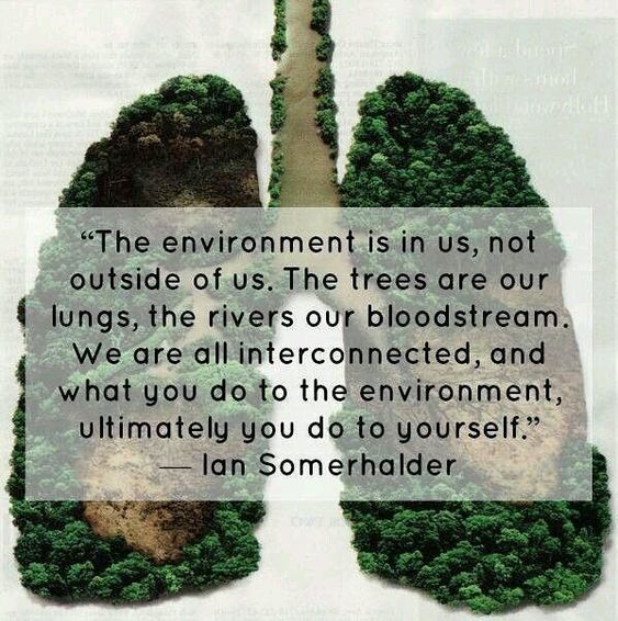 "The Environment  Is in Us,not Outside  of Us.The Trees Are Our Lungs,The Rivers are our Bloodstream.We Are All Interconnected, and what  you  do to the Environment, ultimately  you do to yourself "
#ClimateCrisis #FridaysForFuture #SaveSoil #conservation #ClimateEmergency