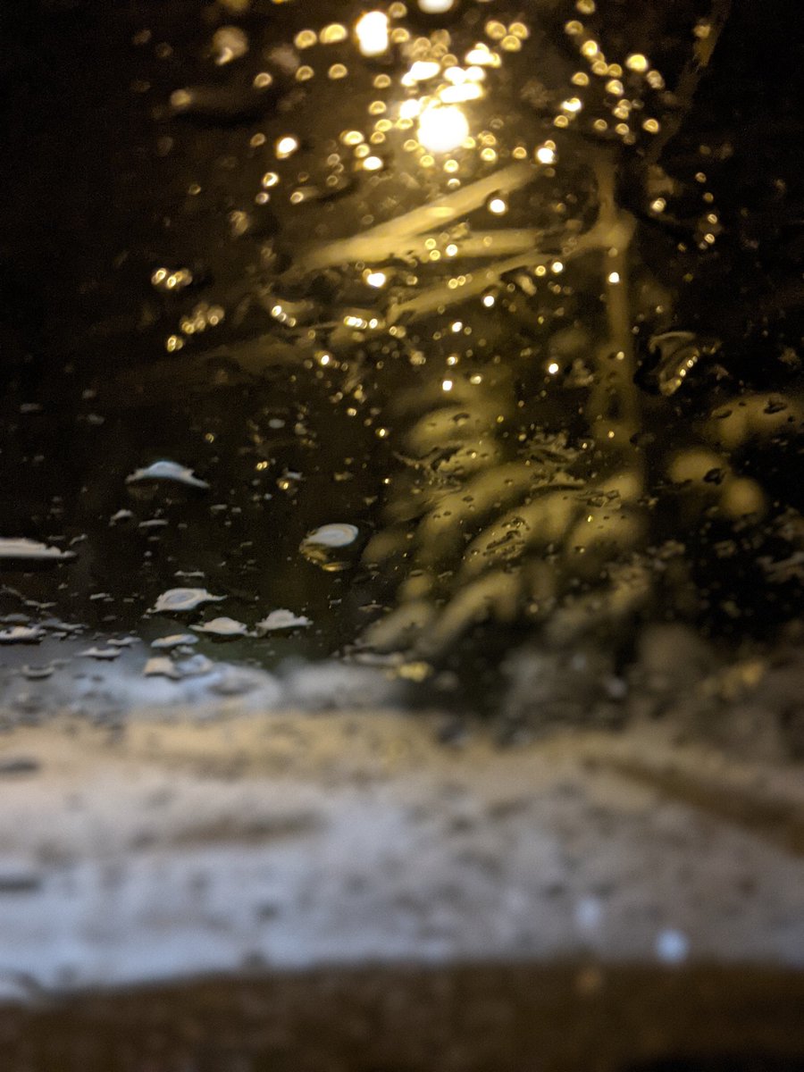 shakespearfrost's tweet photo. @robsobs Wish I could see where Winnipeg is situated on the visual weather outline. We had two minutes of snow here in Victoria Sunday April 09 at 0500hrs. https://t.co/lDR7t7RLTv