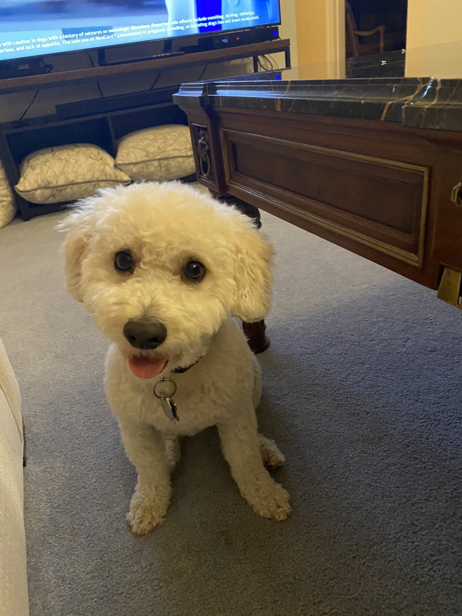 C  Meldrum tweet media